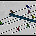 Bird Reception