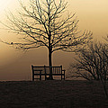 Foggy Sunrise