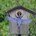 Feeding Time