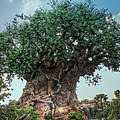 Tree of Life